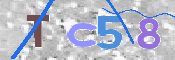 Immagine CAPTCHA