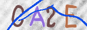 Immagine CAPTCHA
