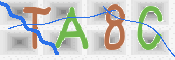 Immagine CAPTCHA
