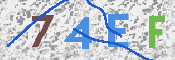 Immagine CAPTCHA